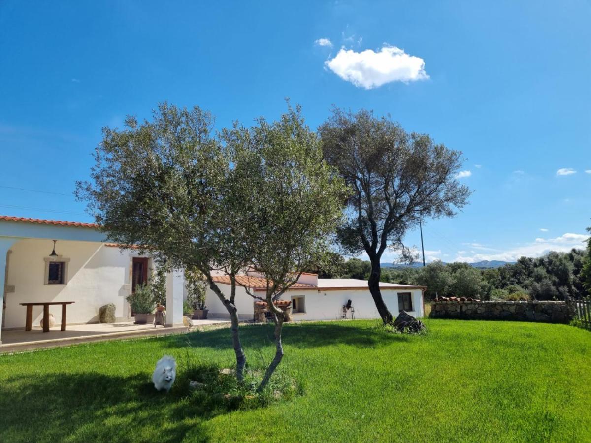 Lu Antu Alloggi Agrituristici Arzachena Zewnętrze zdjęcie